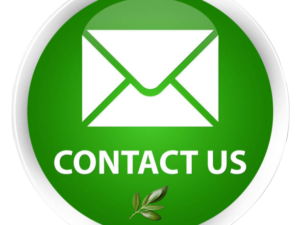 contact4