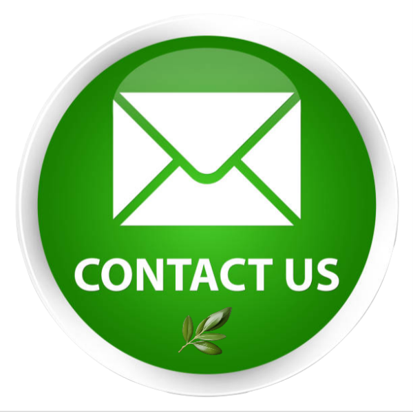 contact4