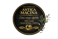 logo png tak
