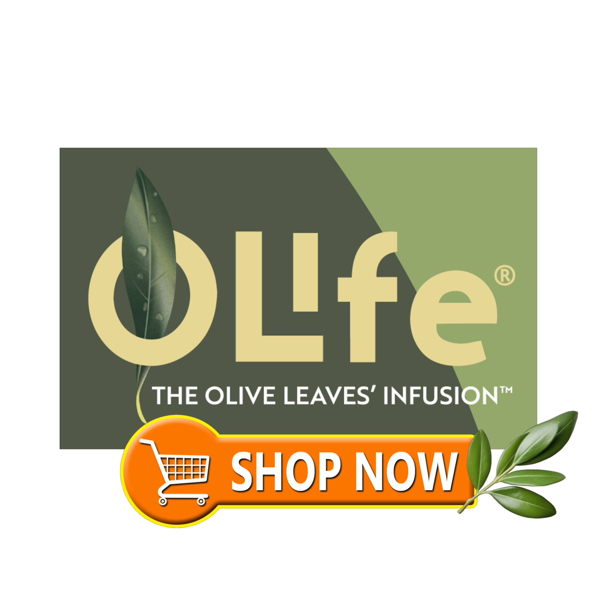olife shop fff